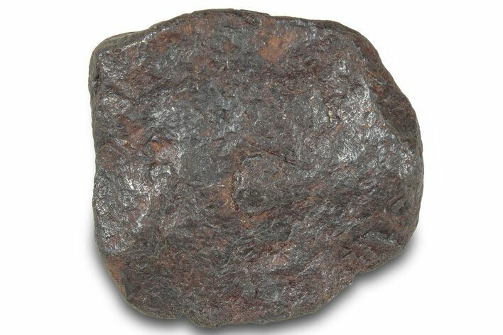 Canyon Diablo Iron Meteorite ( g) - Arizona #319607